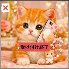 フラットポーチ1100円✫6重ガーゼハンカチ550円オーダー受け付けページCAT