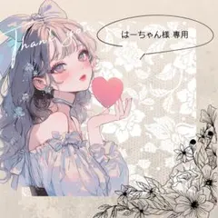 はーちゃん様 リクエスト 2点 まとめ商品