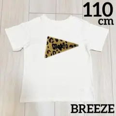 Item thumbnail for item 592a297e-5292-4c67-9533-d72e1ba58912