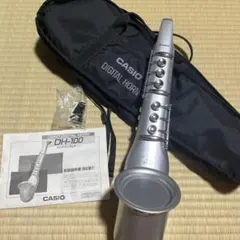 2026年最新】CASIOデジタルホーンDH-500の人気アイテム - メルカリ