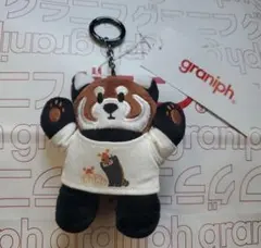 グラニフ graniph 札幌限定 イカク