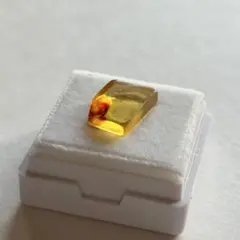 0.3g ケース入り バルティックアンバー 琥珀 原石 天然石 鉱物標本