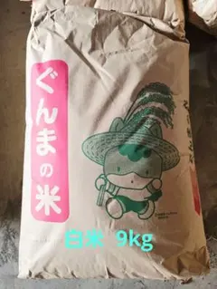 令和6年度産 にじのきらめき 9kg 白米 古米のサムネイル