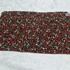 Item thumbnail for item aac98022-28e7-43fa-aac9-5798f10ff08e