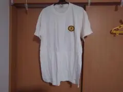 REYN SPOONER レイン スプーナー Tシャツ USED 美品 ②のサムネイル