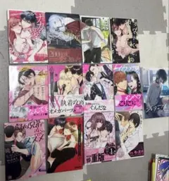 BL漫画 まとめ売り 13冊セット ショタ＋彼氏 イラスト 腐女子 アニメ 百合