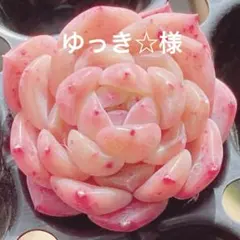 ゆっき☆様 リクエスト 3点 まとめ商品