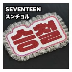 スンチョル　エスクプス SEVENTEEN ネームボード　うちわ文字　ネムボ