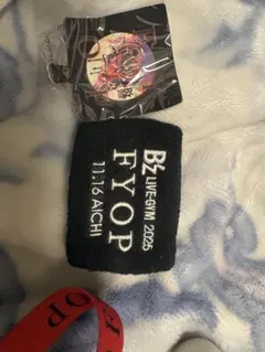 B'z LIVE-GYM 2025 FYOP ガチャガチャセット