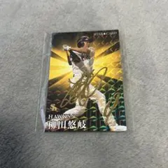 Item thumbnail for item 5bda6230-f4eb-4efb-b484-d7b10d8b0c5a