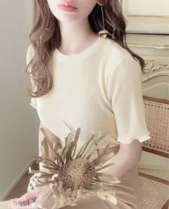 ミニプリーツ半袖シアー素材Tシャツ カットソー　トップス　エクリュ　キナリ