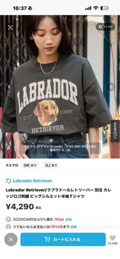 Labrador Retriever 犬プリント 半袖Tシャツ M