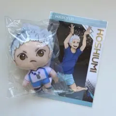 ハイキュー　SEGA ラッキーくじ　星海　光来　セガくじ　ぬいぐるみ　マスコット