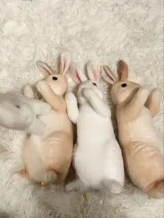 Item thumbnail for item cb958d04-84ba-45aa-bbaa-6d0eb77c3e89