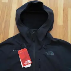 USA企画 ノースフェイス APEX FLEX GORE-TEX S ブラック