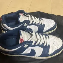 NIKE Dunk Low Valerian Blue バレリアン　26.5cm