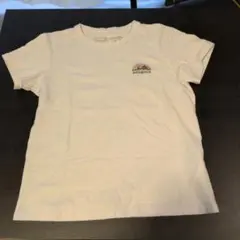 patagonia　レスポンシビリティー 半袖Tシャツ S ホワイト