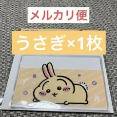 ちいかわ マイナンバーカードケース うさぎ