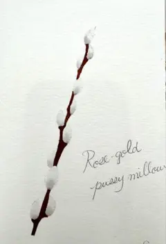 水彩画　原画　手描き　花　ネコヤナギ