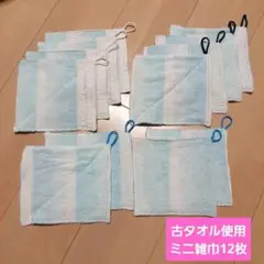 ミニ雑巾※ハンドメイド12枚