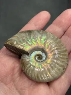 patikuri.masukara様 リクエスト 2点 まとめ商品