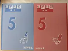 2026年最新】四谷大塚 予習シリーズ 5年の人気アイテム - メルカリ