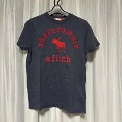 abercrombie kids チャコールグレーTシャツ