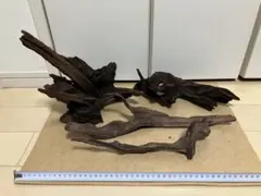 2026年最新】ホーンウッド adaの人気アイテム - メルカリ