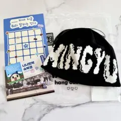 SEVENTEEN MINGYU ビーニー NANA bnb