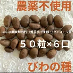 Lulu@柔軟剤の残り香苦手です様 リクエスト 2点 まとめ商品