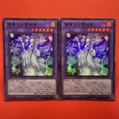 遊戯王 アジア版 優麗なる霊鏡姫2枚 遊戯王 アジア版 優麗なる霊鏡姫2枚 遊戯王のフリマアイテム一覧