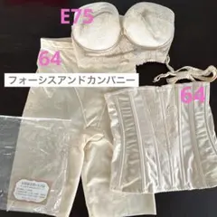 【美品】フォーシスアンドカンパニー ブライダルインナー 3点セット