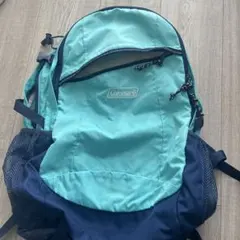 Item thumbnail for item 81ca3795-4f01-4745-a2f3-40374f98eee0