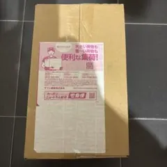 ④トウホクスペシャルBOX ポケモンセンタートウホク
