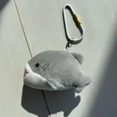 サメ ぬいぐるみ