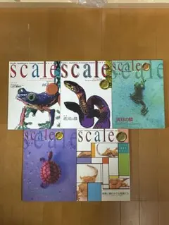 爬虫類・両生類情報誌 scale 5冊セット