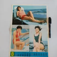 即購入可 送料込 山口百恵＆榊原郁恵 グラビア切り抜き 2025年最新】山口百恵 切り抜きの人気アイテム - メルカリ