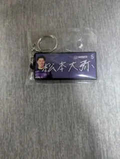 Item thumbnail for item e81fe22d-2ba7-4e6c-b3a1-2c84d0a88ecf