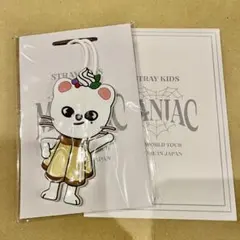 スキズ ヒョンジン ジニレット MANIAC ラゲッジタグ ライブフォトトレカ