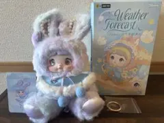 nommi 100% 天気シリーズ 霧 紫