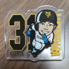松原聖弥選手 ジャイアンツ　アクリルピンバッジ　背番号31