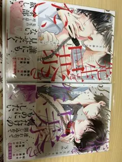 Item thumbnail for item b7d6f6f6-f11b-4790-9e73-c7a54d7fe662