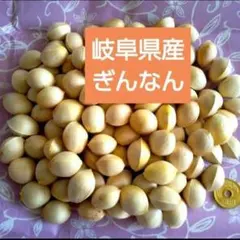 岐阜県産 無農薬 藤九郎 手剥き ぎんなん 350g今だけお試し価格★ラスト1点のサムネイル