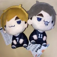 ハイキュー ！！もちぴこぬいぐるみ 宮侑 宮治 2種セット