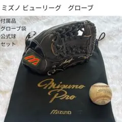 激レア当時物❗️MIZUNO ビューリーグ 硬式用グローブ 袋 硬式球　ミズノのサムネイル