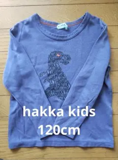 美品★hakka kids★紫色★長袖カットソー★120cm★恐竜柄★