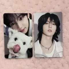 zb1 ゼベワン ハン ユジン レオ 封入 トレカ デジパ オール 犬 いぬ