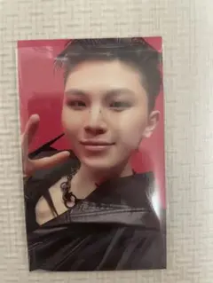 SEVENTEEN ウジ 会場限定 ユニバ たまアリ