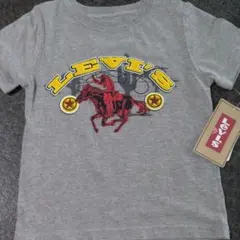 新品リーバイスTシャツナイキリーボックアディダス