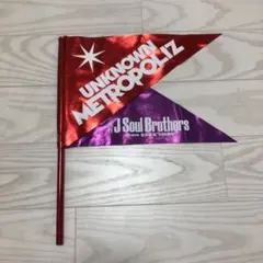 UNKNOWN METROPOLIZ フラッグ